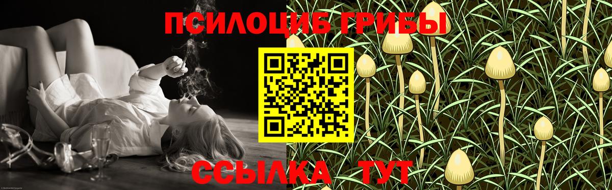 Псилоцибиновые грибы мухоморы Удомля