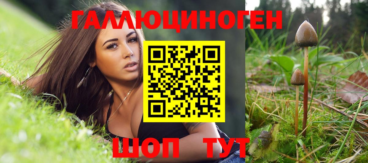 Псилоцибиновые грибы мицелий  Вход с VPN  Удомля  Галлюциногенные грибы Cubensis 
